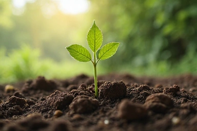 Una planta joven en crecimiento en tierra fértil, simbolizando crecimiento y resultados duraderos
